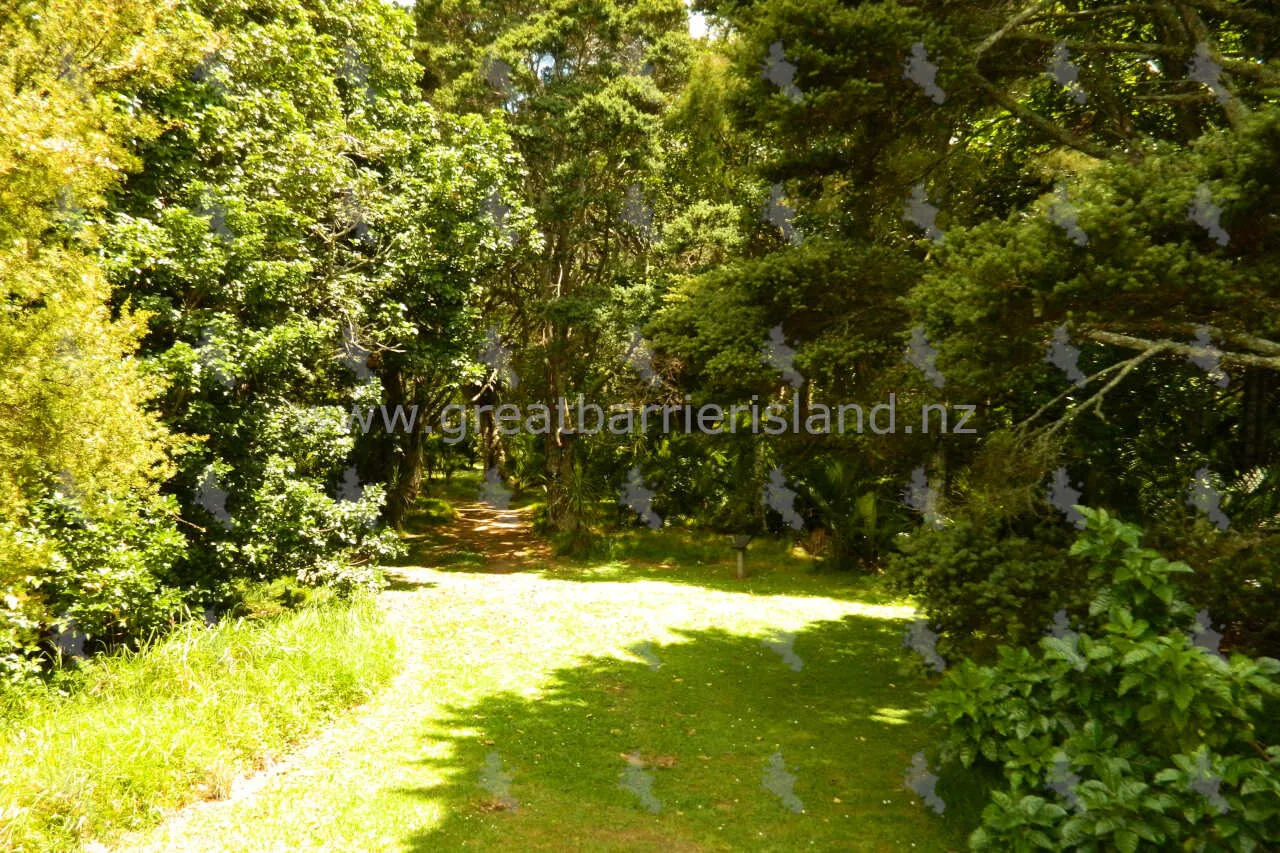 okiwi park great barrier island 4