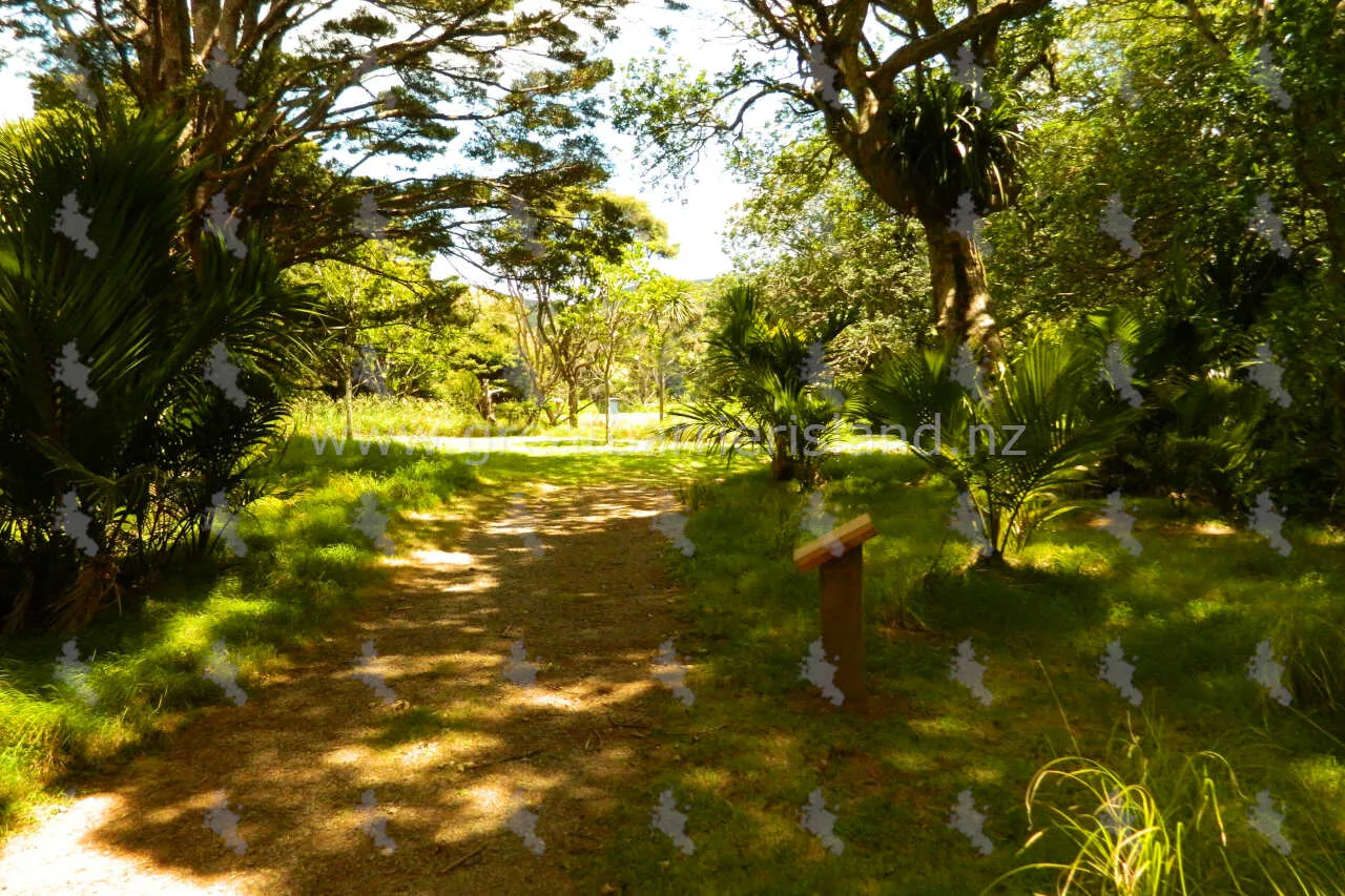 okiwi park great barrier island 5
