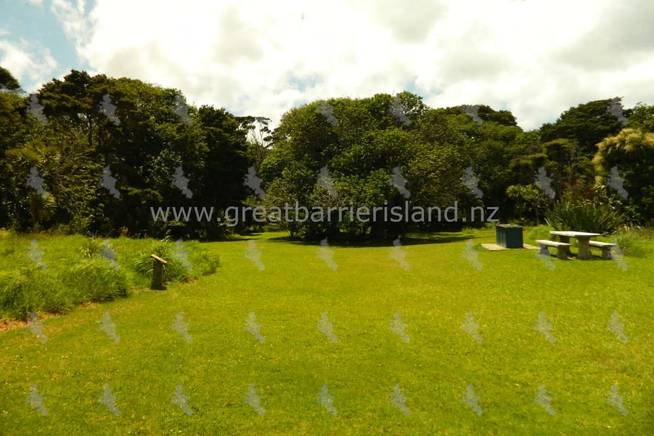 okiwi park great barrier island 9