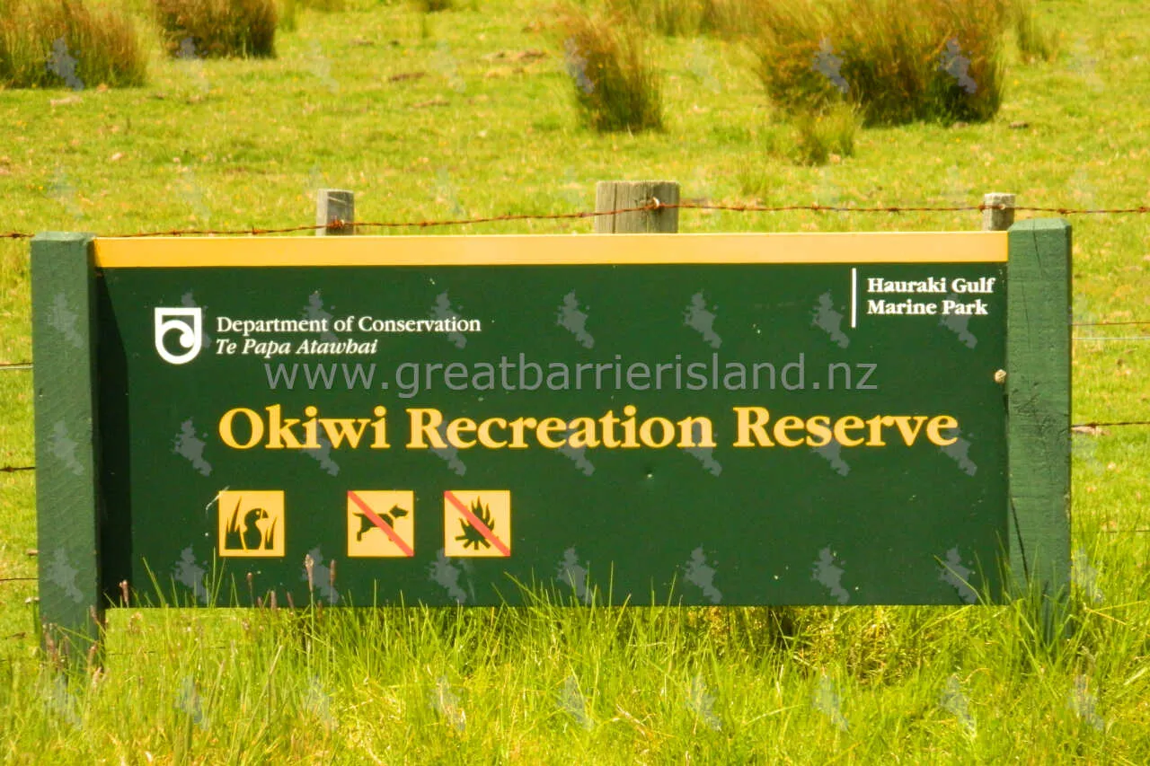 okiwi recreation reserve great barrier island 1