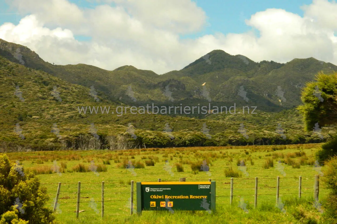 okiwi recreation reserve great barrier island 2