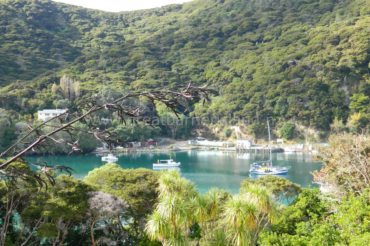 port fitzroy great barrier island 10