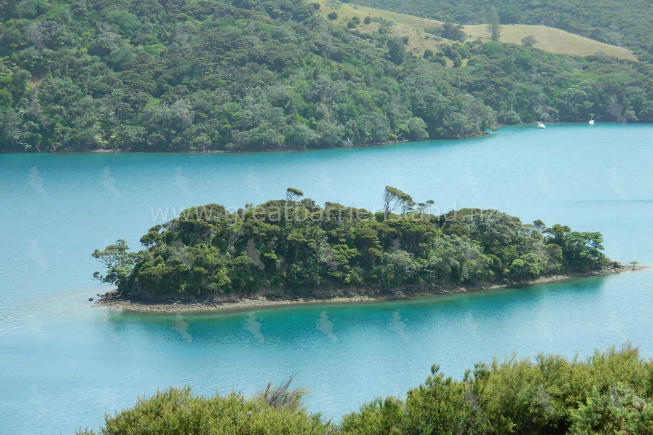 port fitzroy great barrier island 4