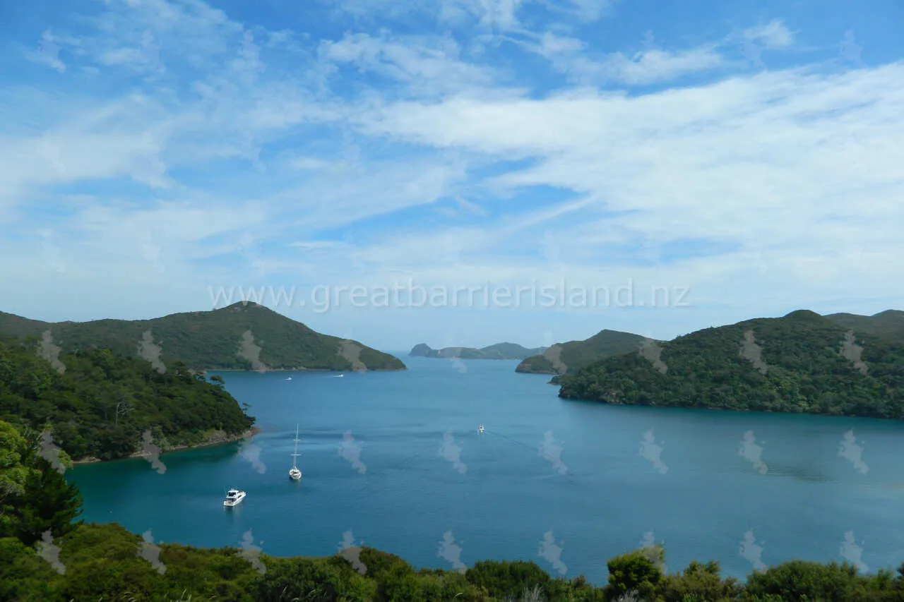 port fitzroy great barrier island 5
