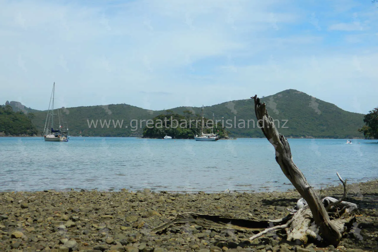 port fitzroy great barrier island 8