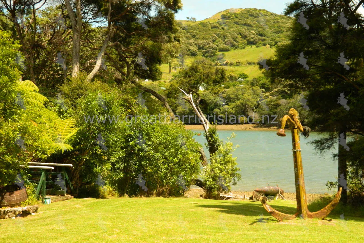 port fitzroy landing reserve great barrier island 4