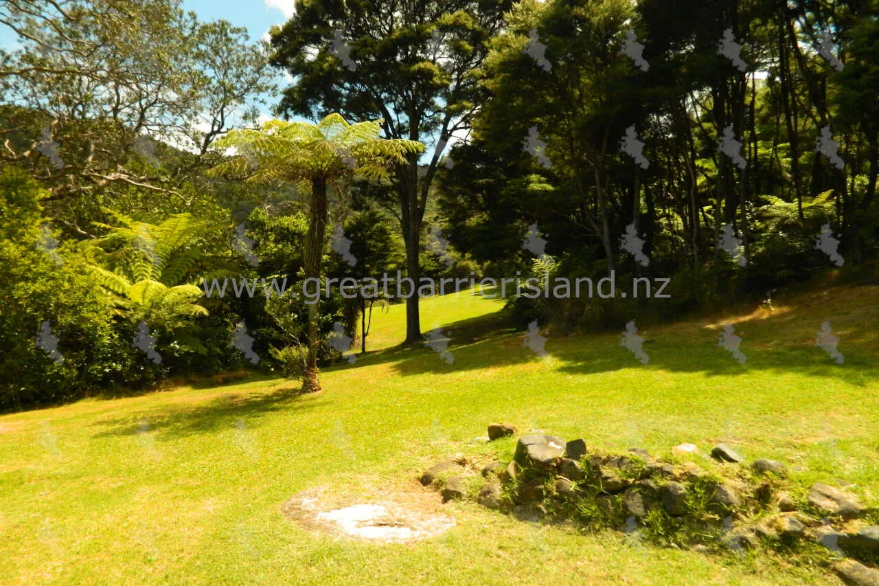 port fitzroy landing reserve great barrier island 5