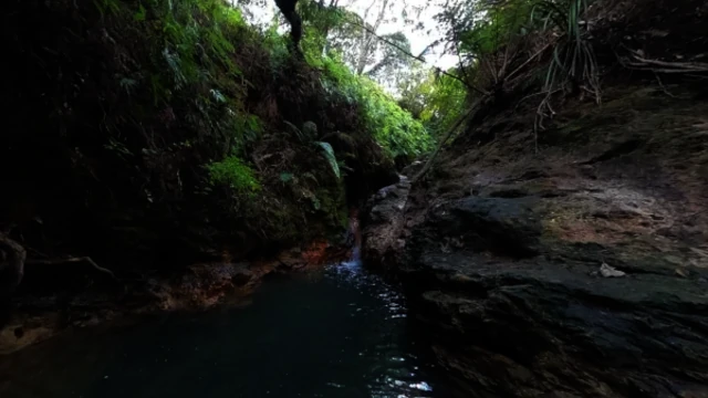 Kaitoke Hot Springs Virtual Tour Preview