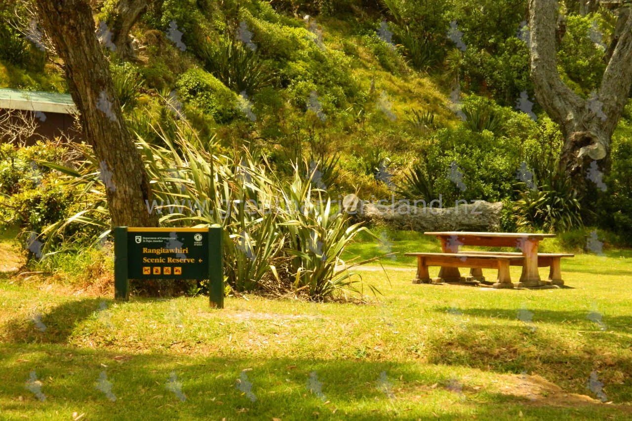 rangitawhiri scenic reserve great barrier island 2