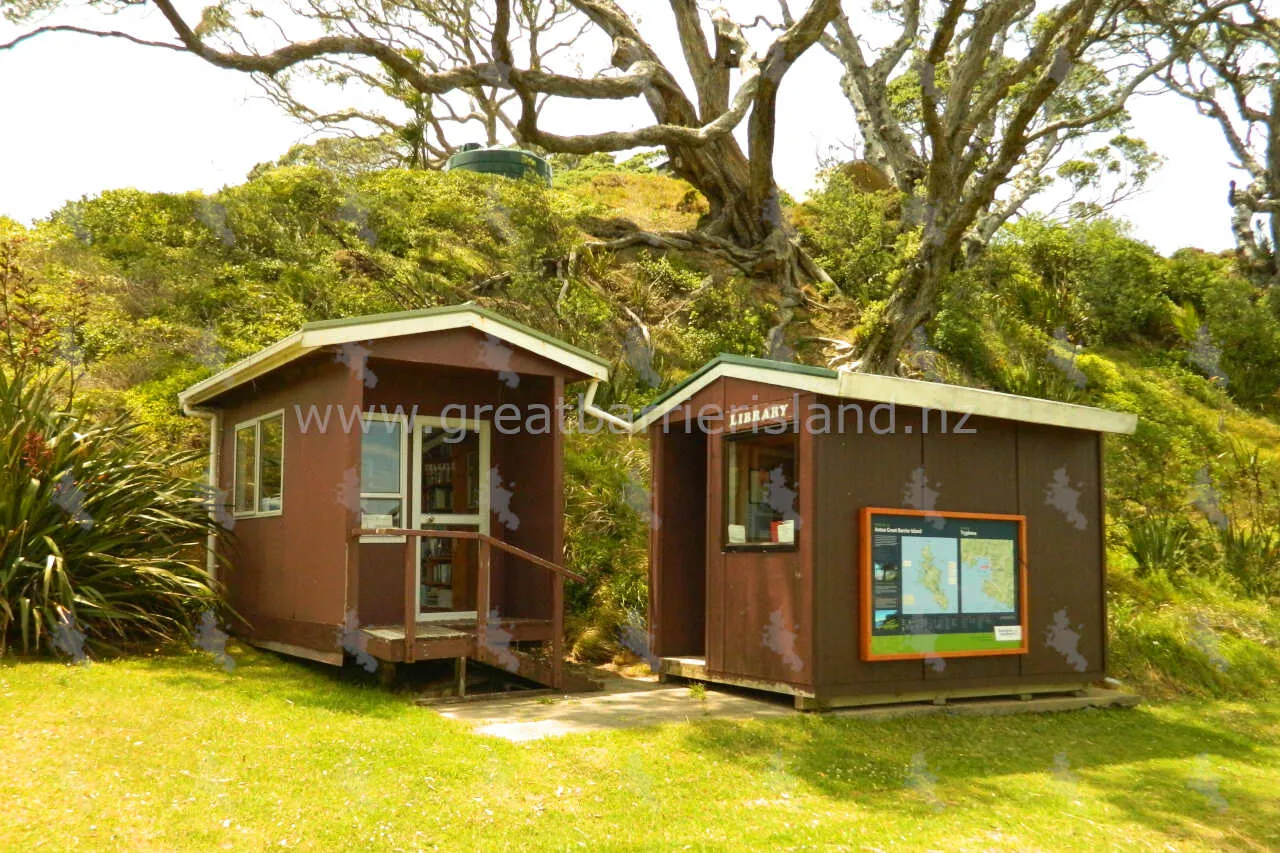 rangitawhiri scenic reserve great barrier island 4