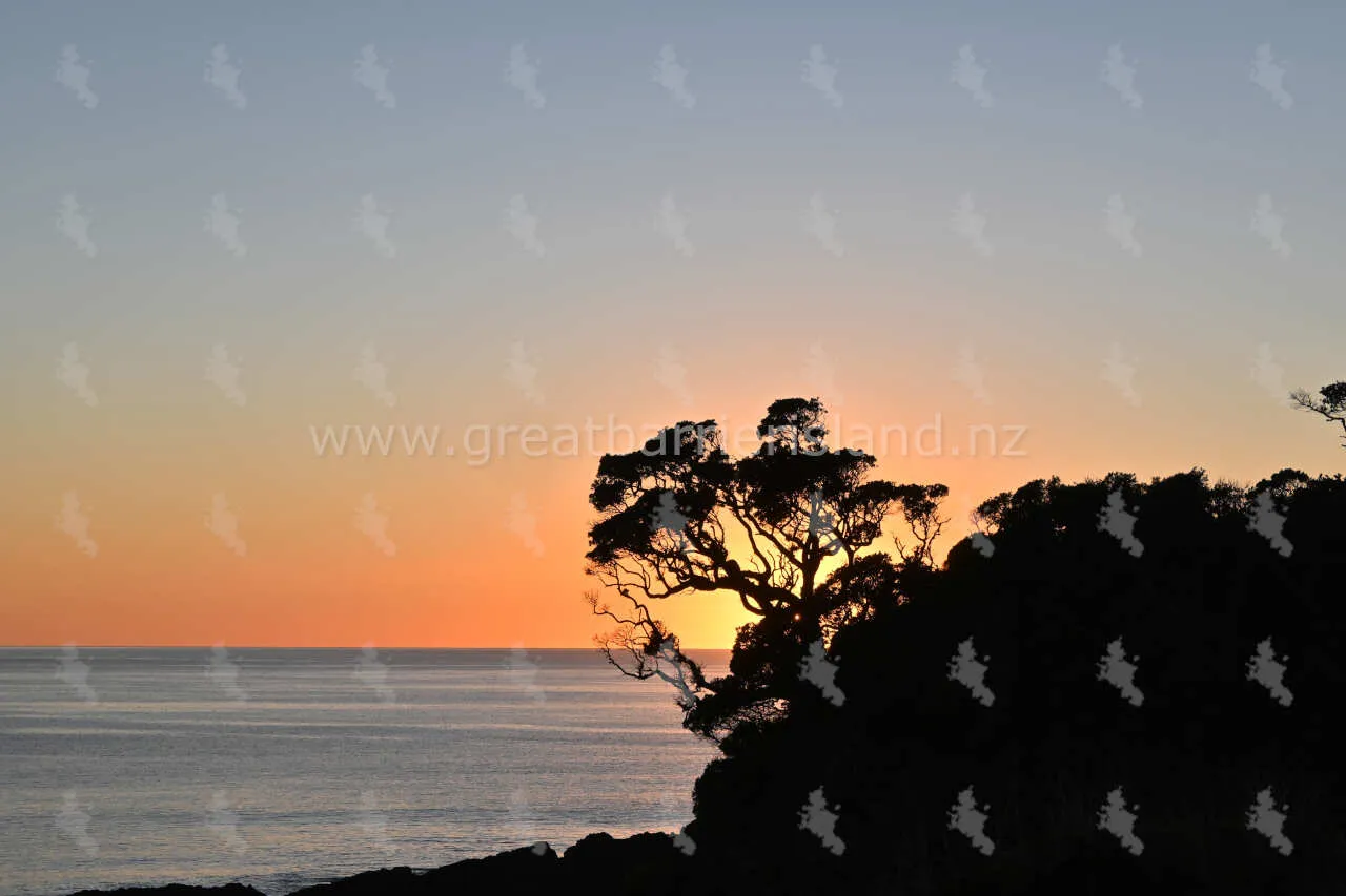 sunrise great barrier island 1