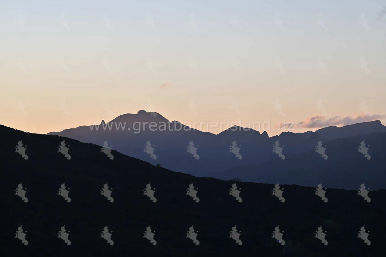 sunset great barrier island 12