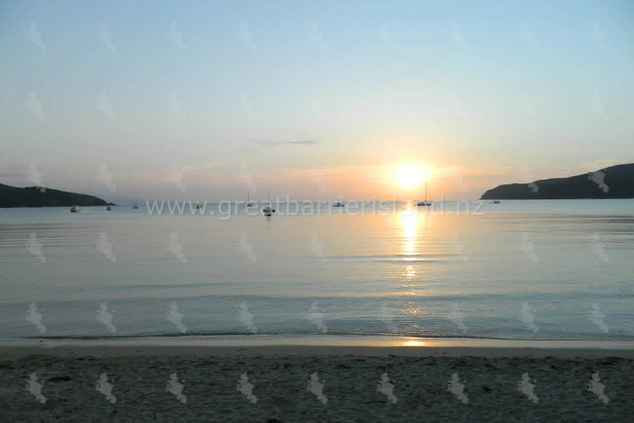 tryphena great barrier island 10