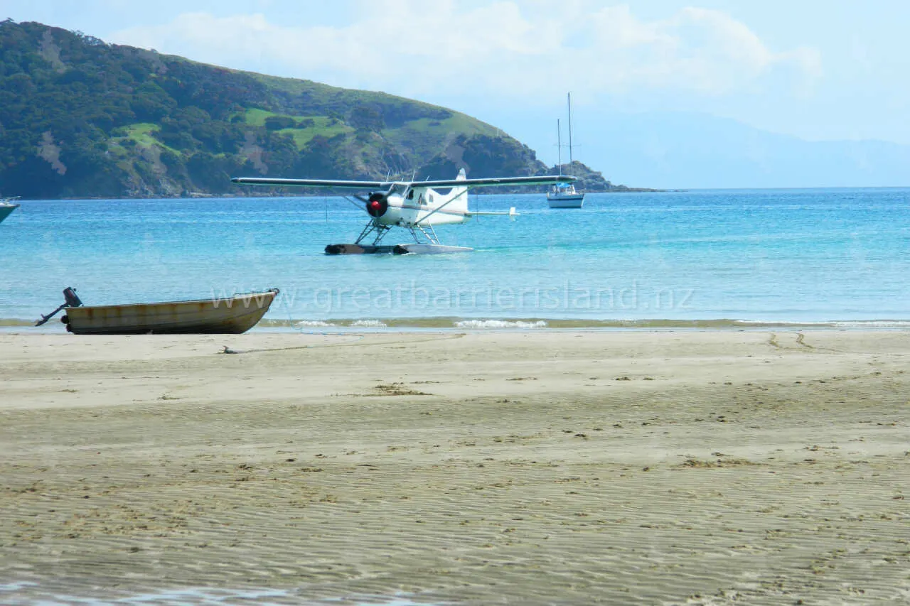 tryphena great barrier island 11