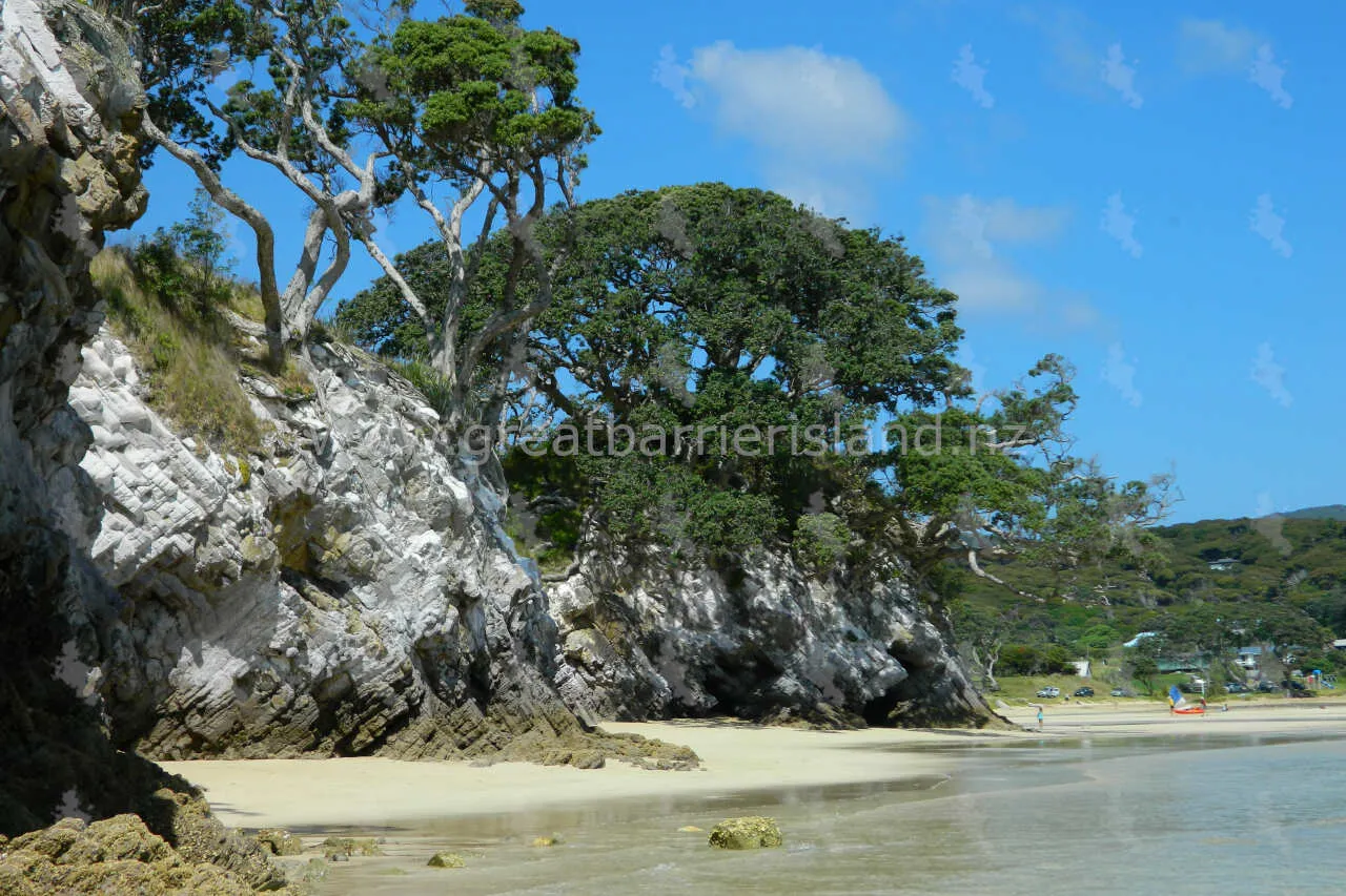 tryphena great barrier island 14