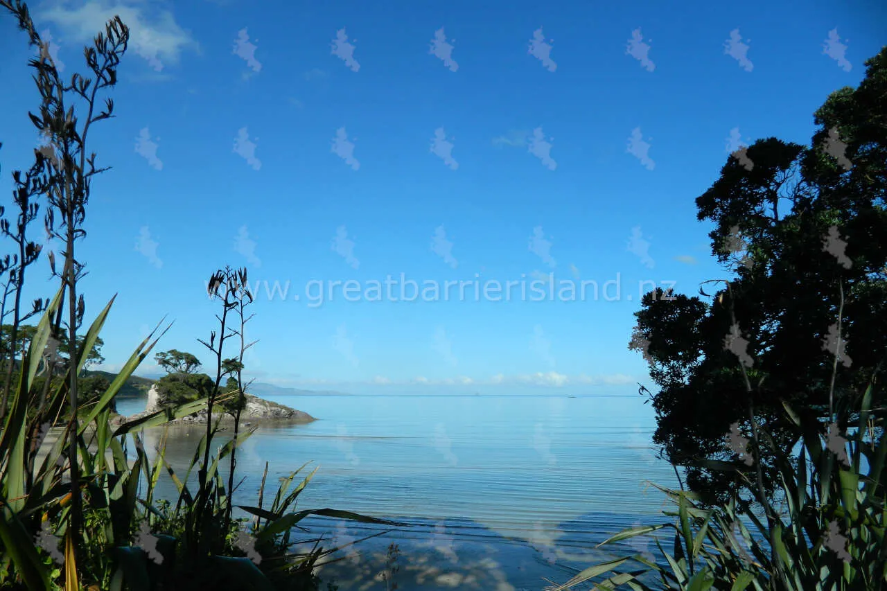 tryphena great barrier island 16