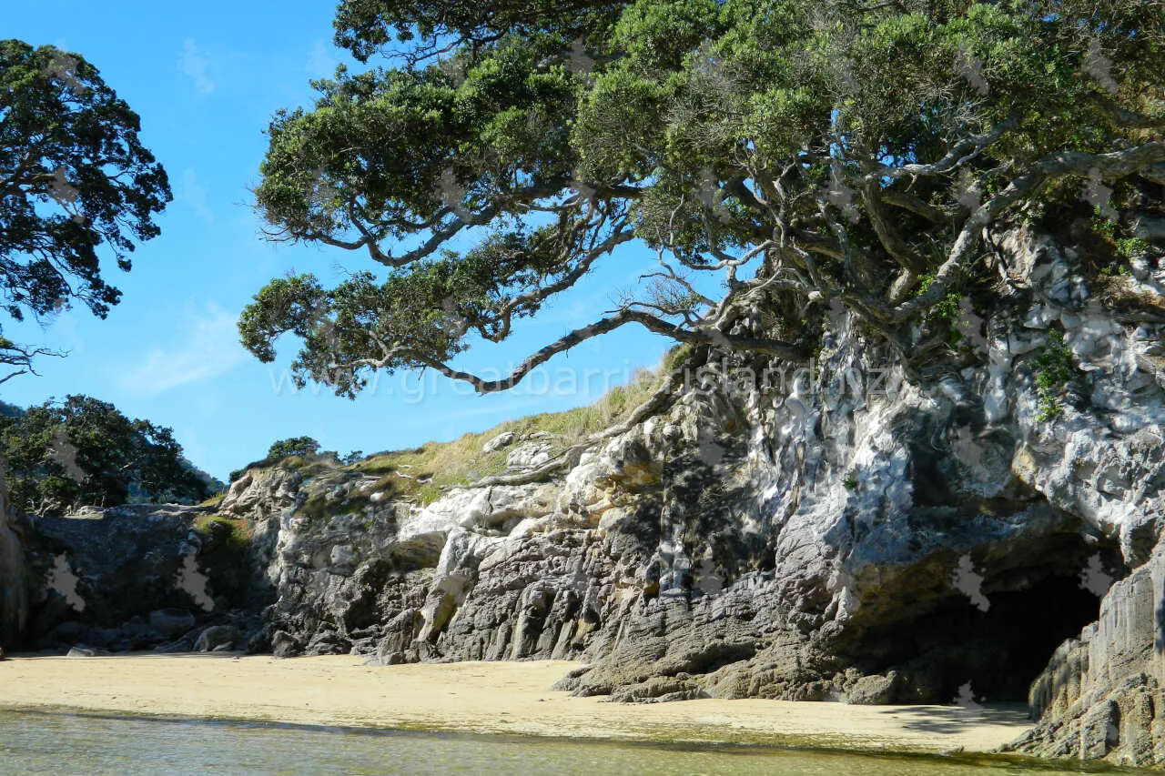 tryphena great barrier island 3