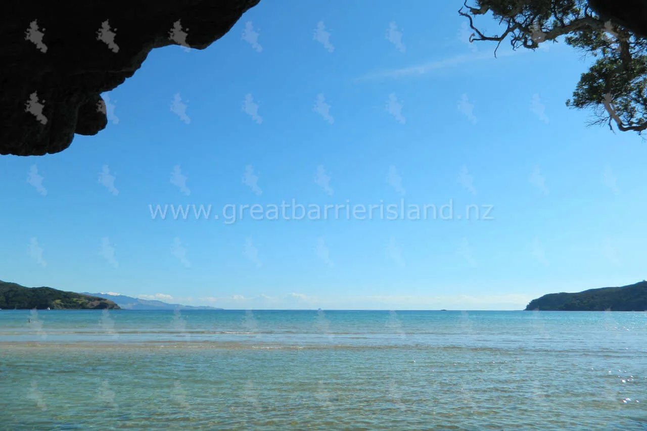 tryphena great barrier island 5