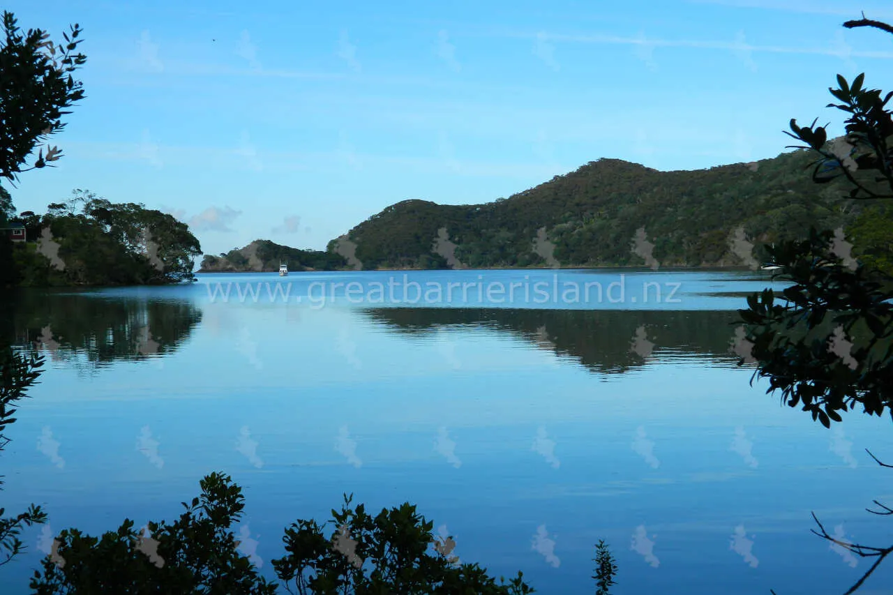 whangaparapara great barrier island 1