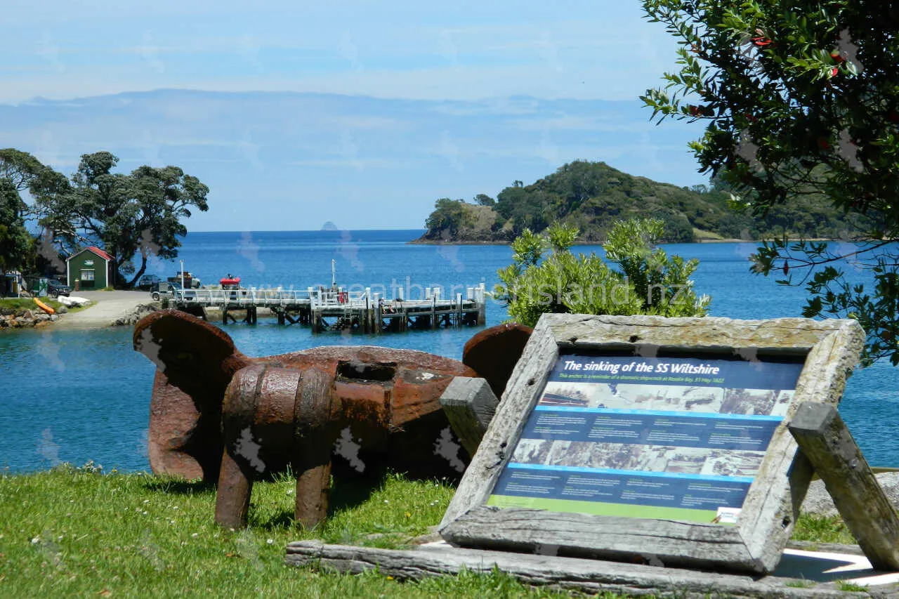 whangaparapara great barrier island 10