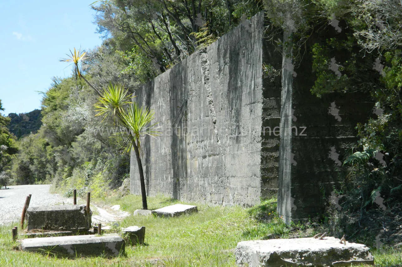 whangaparapara great barrier island 13