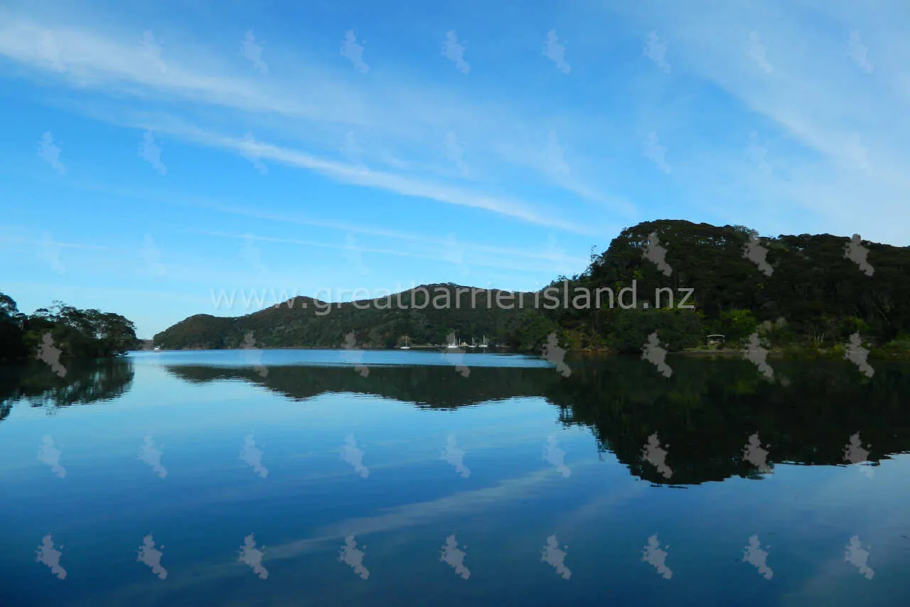 whangaparapara great barrier island 2
