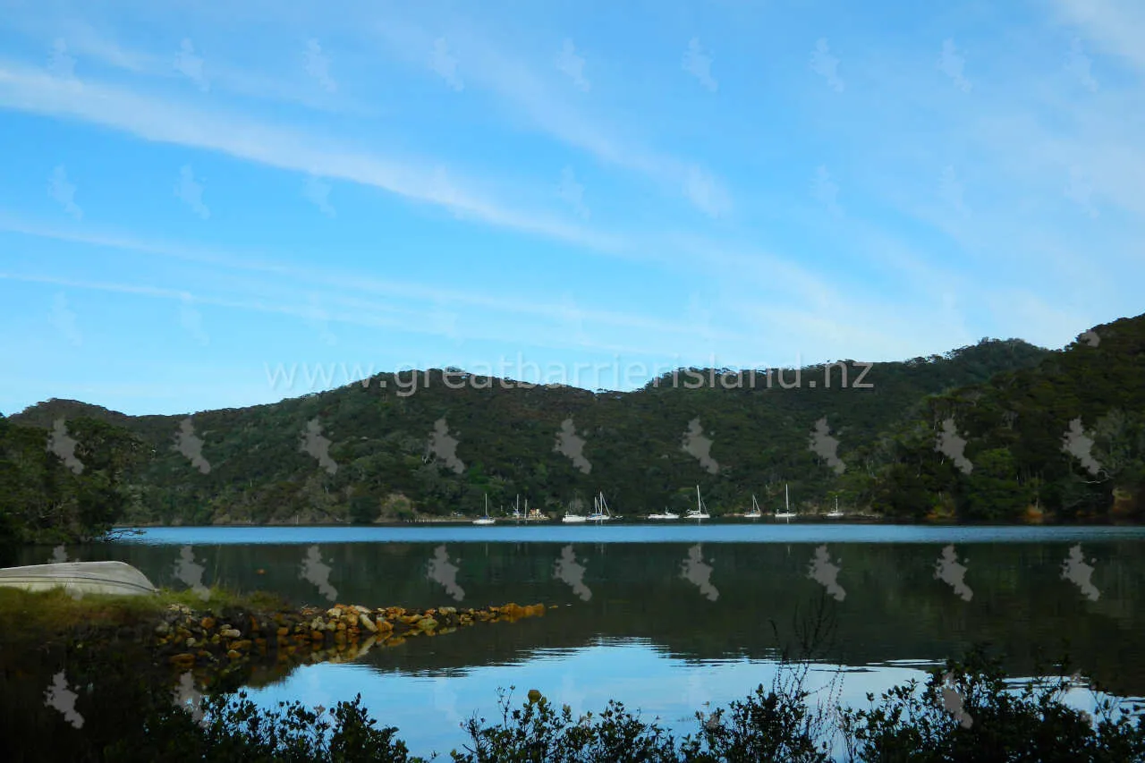 whangaparapara great barrier island 3