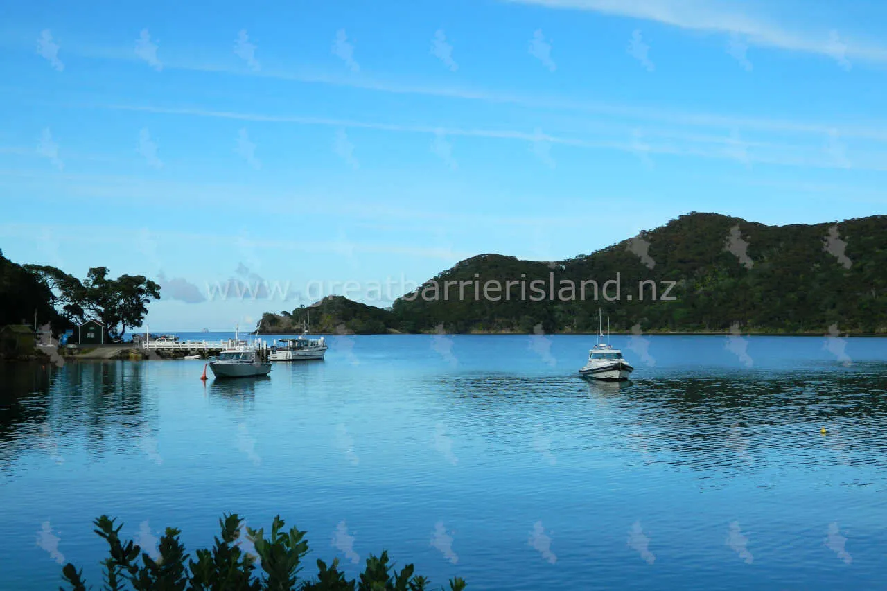 whangaparapara great barrier island 4