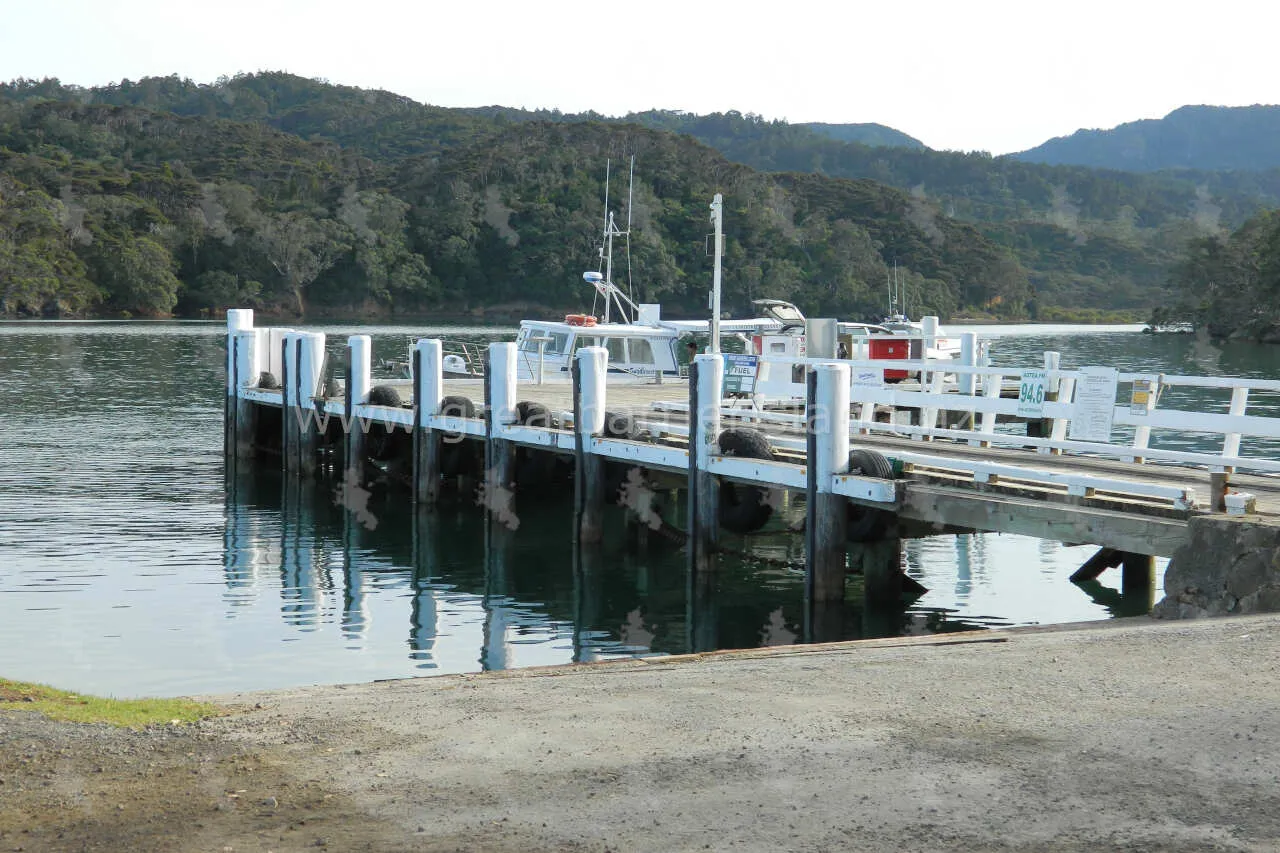 whangaparapara great barrier island 6