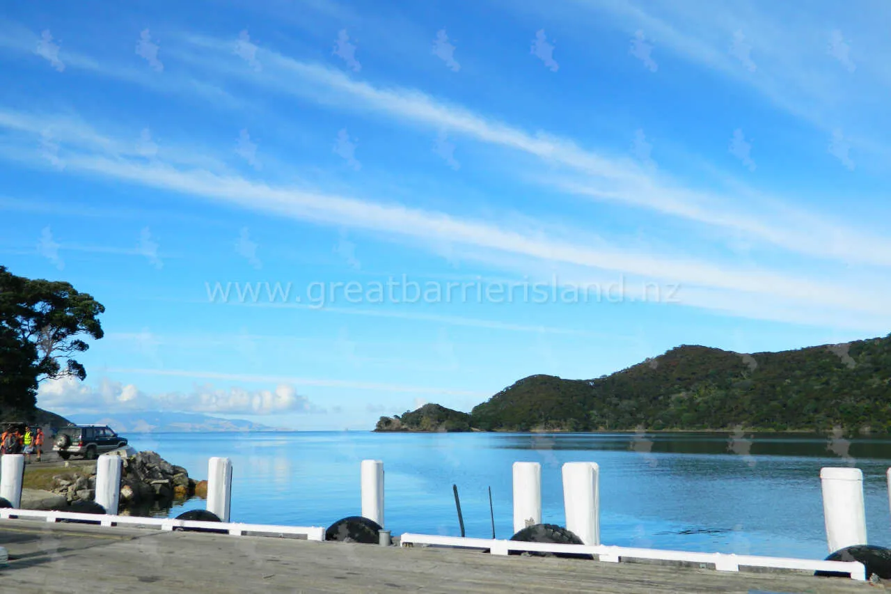 whangaparapara great barrier island 7