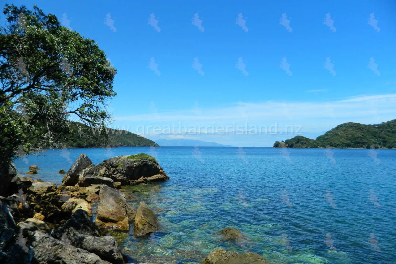 whangaparapara great barrier island 9