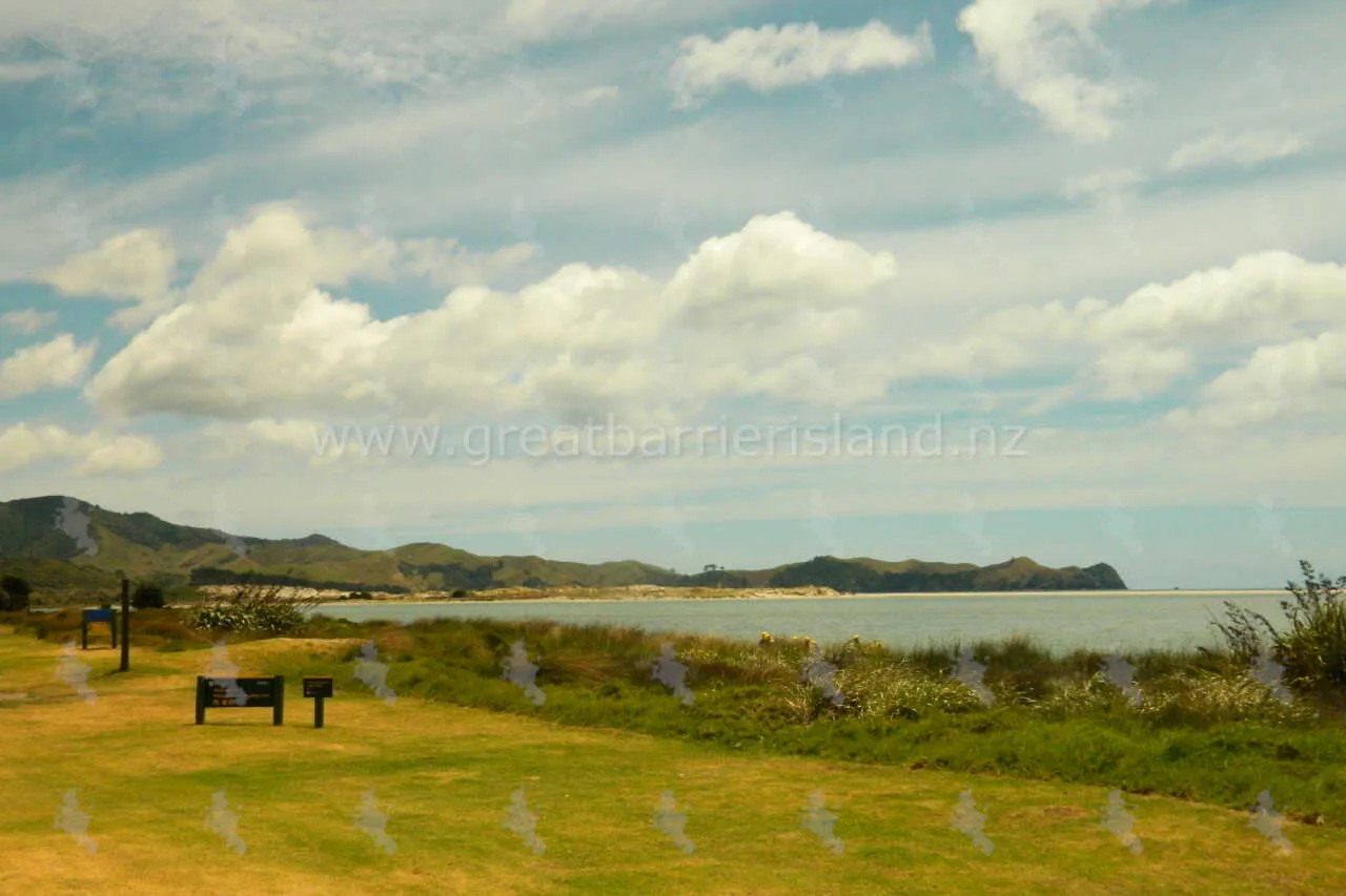 whangapoua campground great barrier island 10