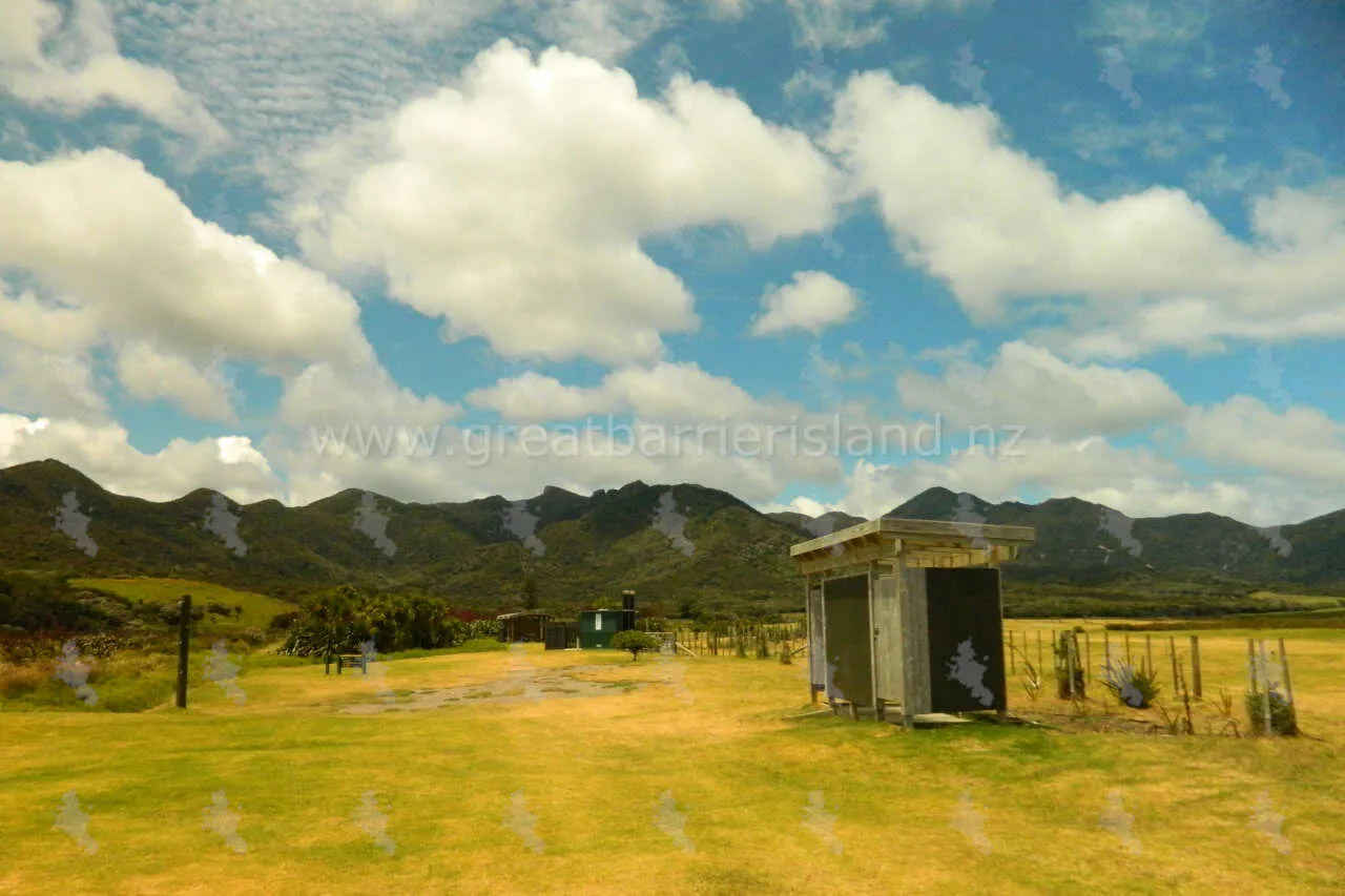 whangapoua campground great barrier island 13
