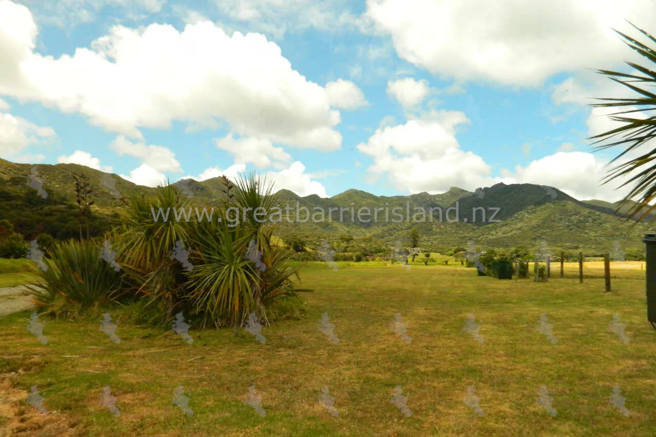 whangapoua campground great barrier island 15