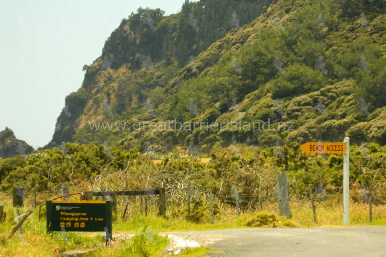 whangapoua campground great barrier island 2