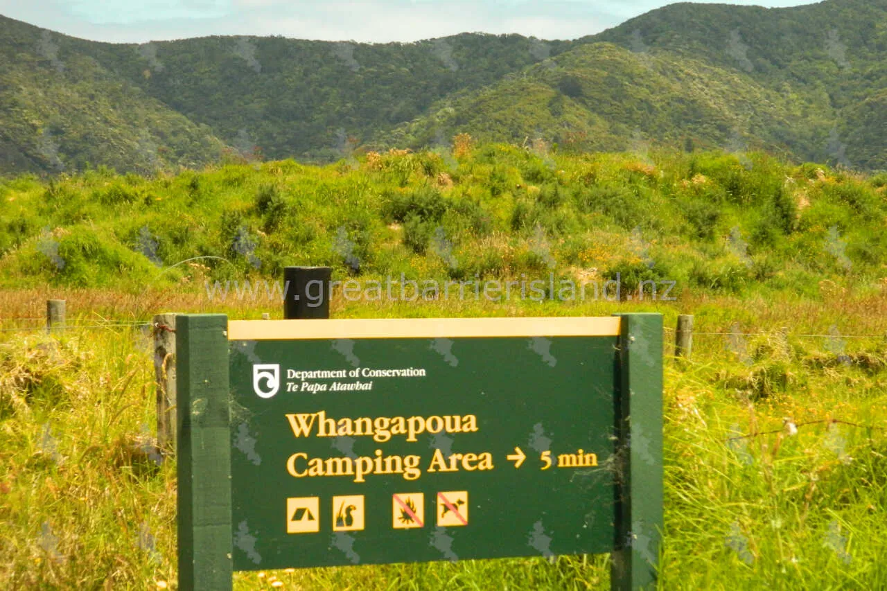 whangapoua campground great barrier island 3