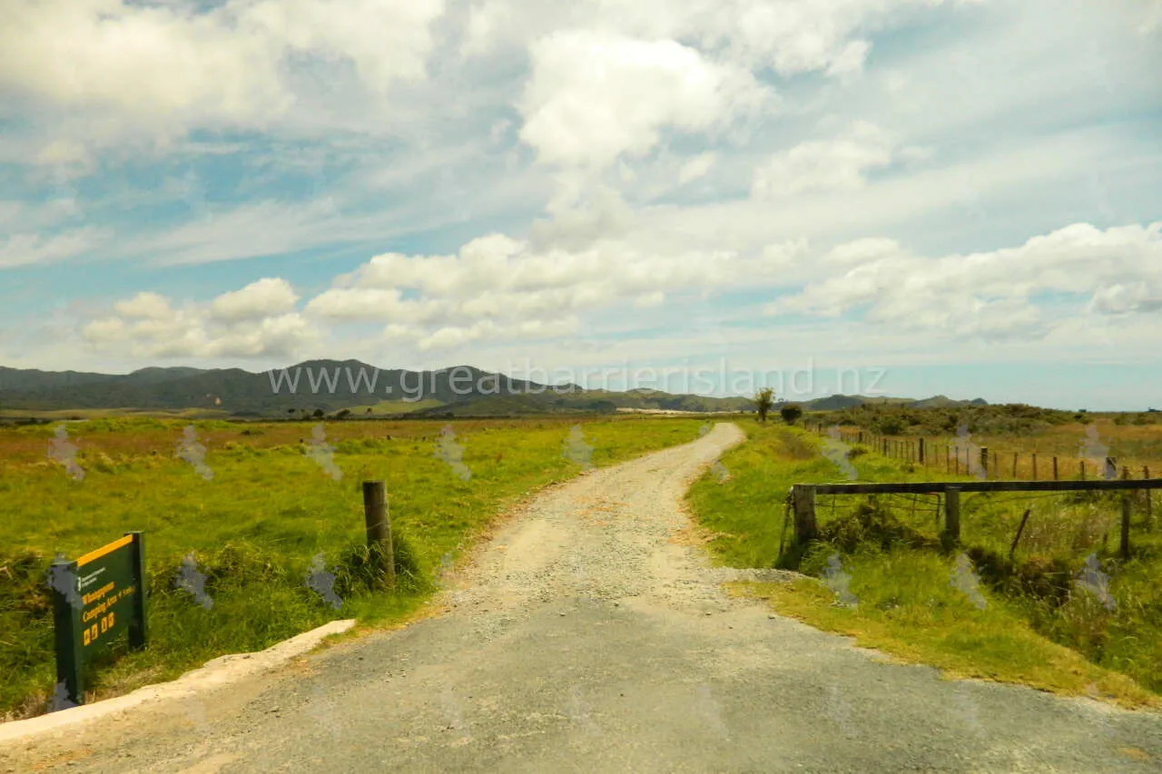 whangapoua campground great barrier island 4
