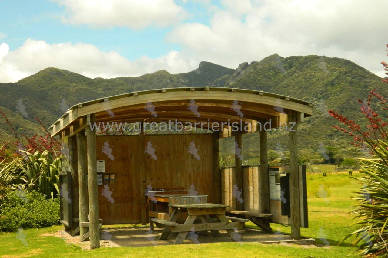 whangapoua campground great barrier island 5