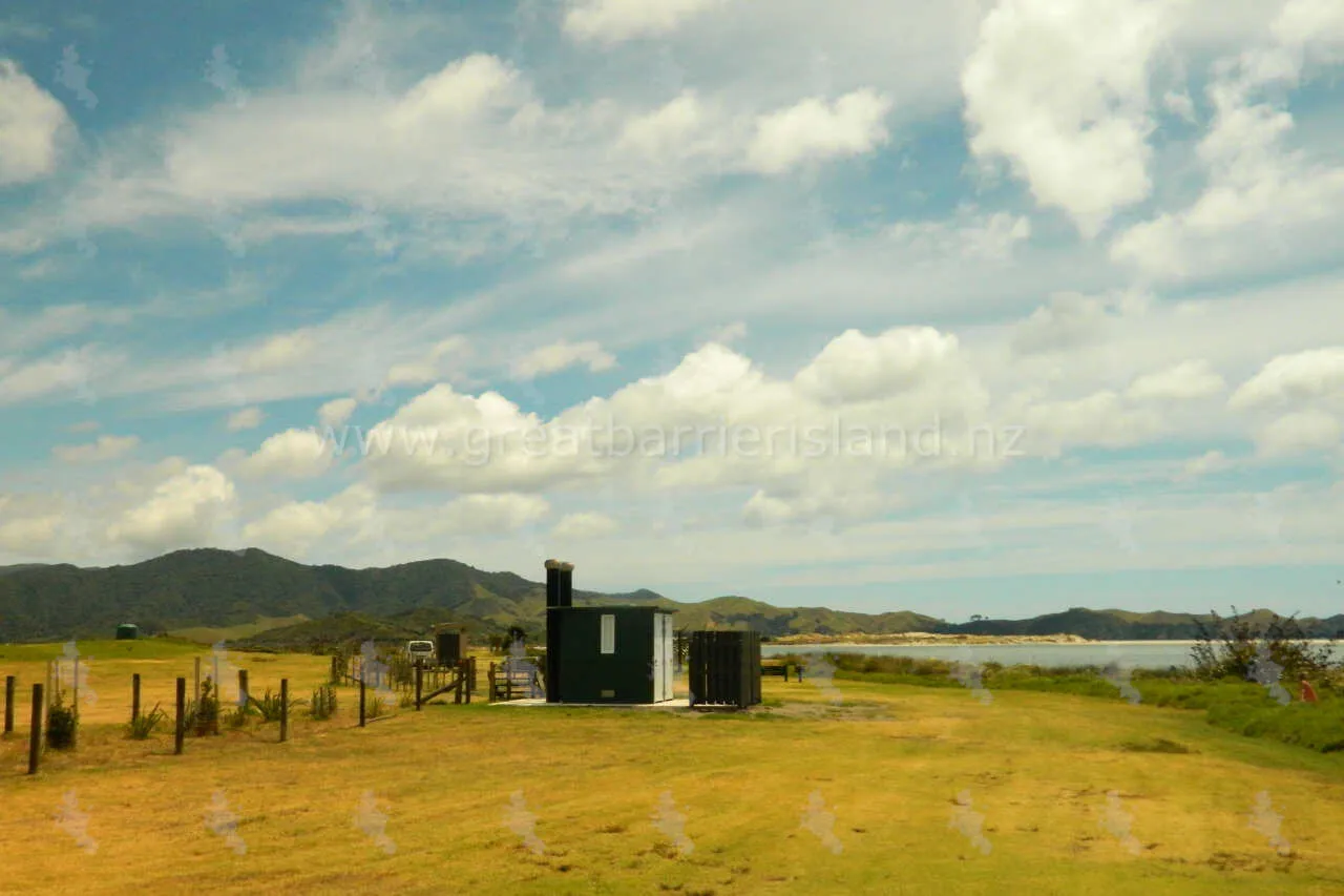 whangapoua campground great barrier island 6