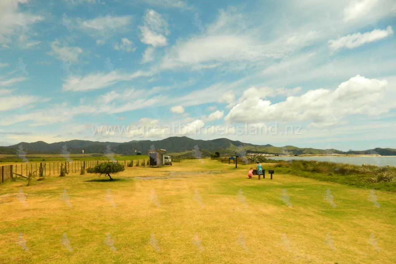 whangapoua campground great barrier island 9
