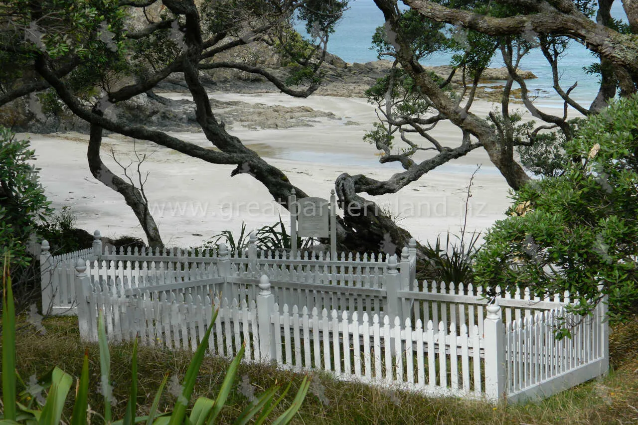 whangapoua great barrier island 10