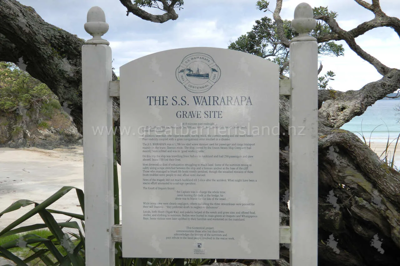 whangapoua great barrier island 12