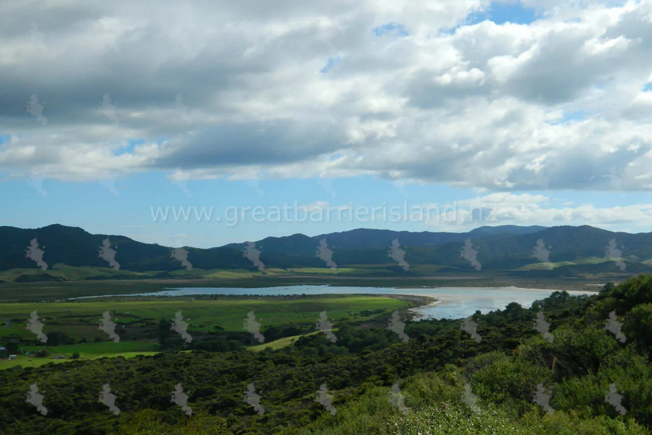 whangapoua great barrier island 2