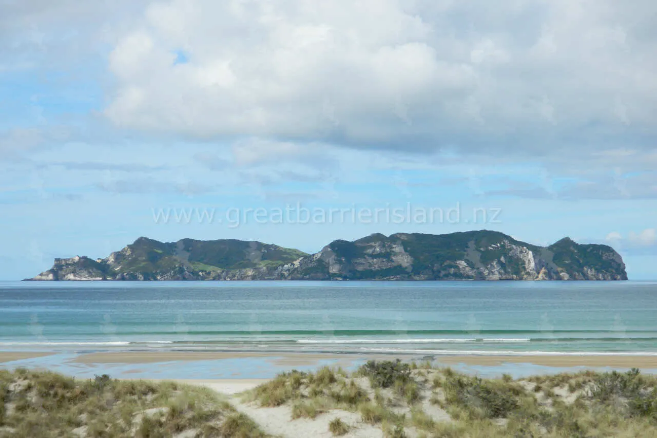whangapoua great barrier island 4