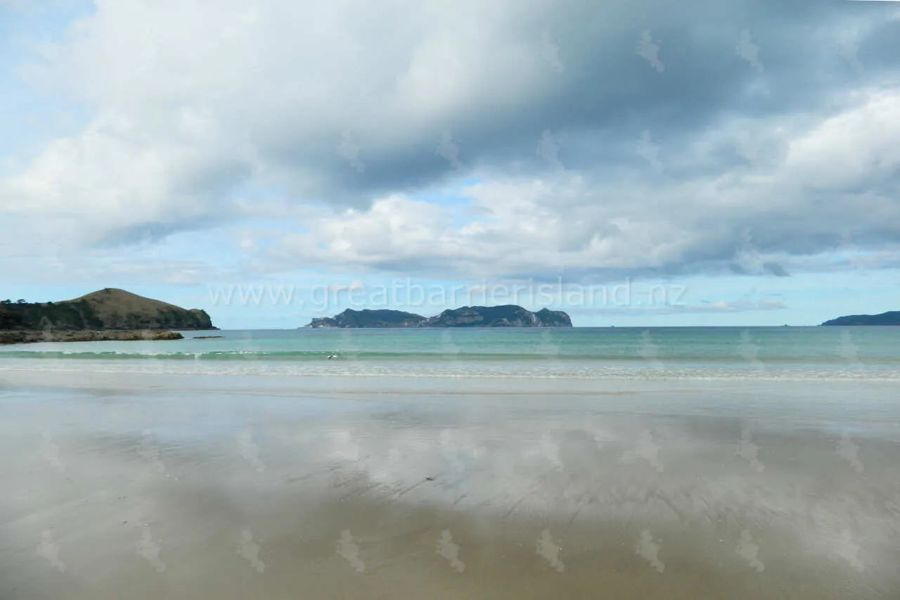 whangapoua great barrier island 7