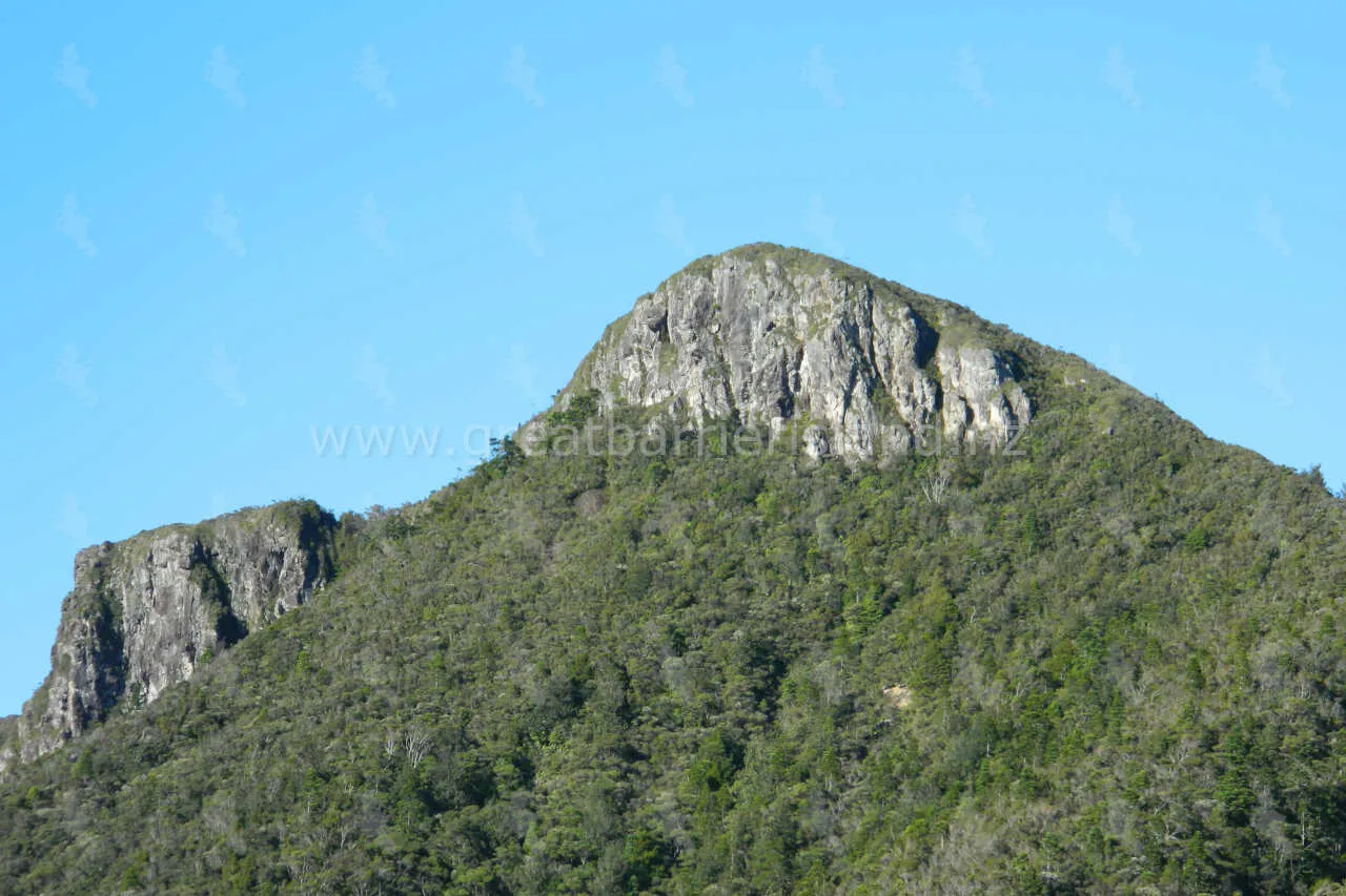 windy canyon great barrier island 2