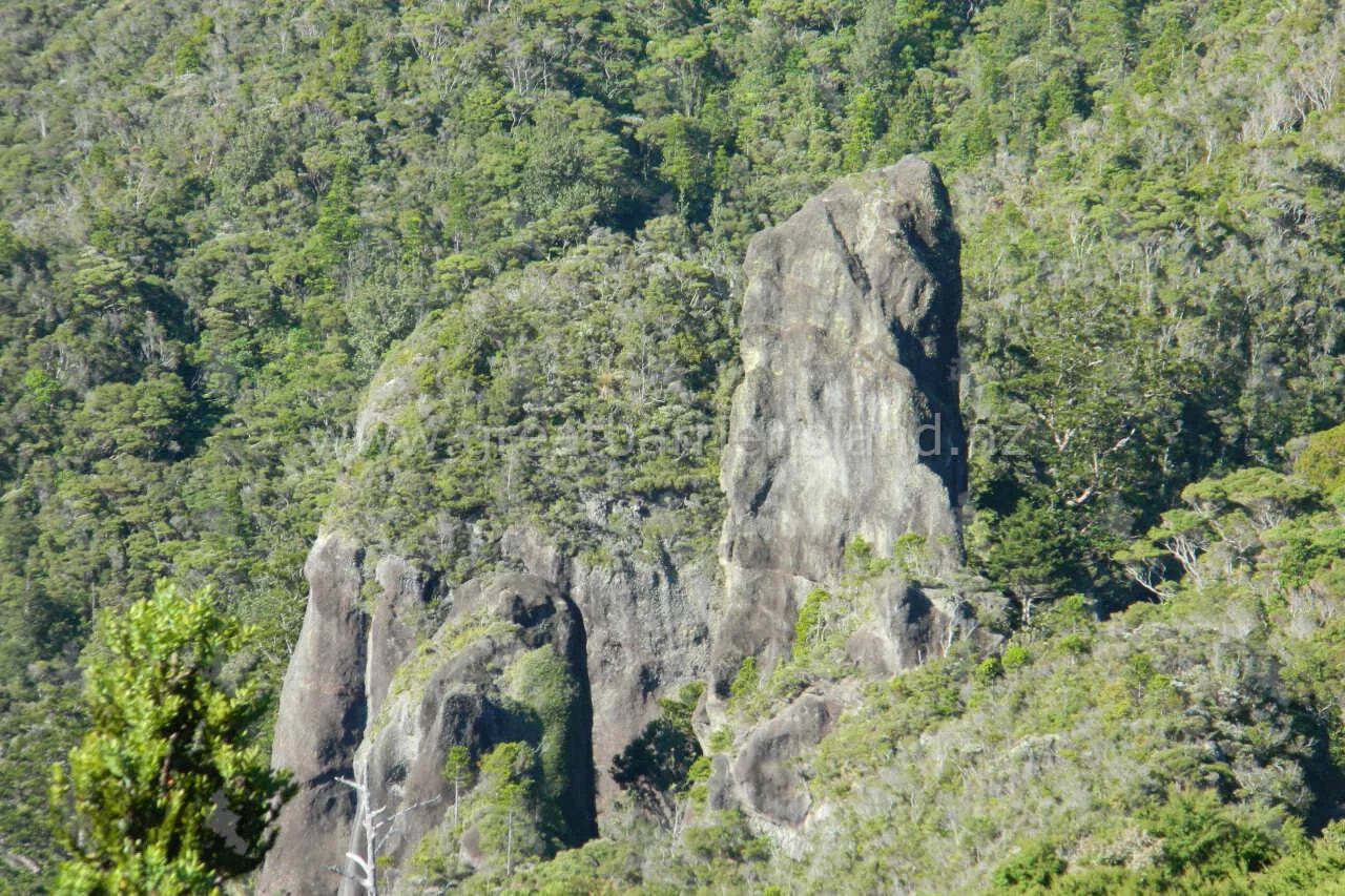 windy canyon great barrier island 3