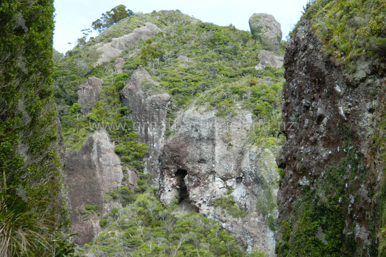 windy canyon great barrier island 6