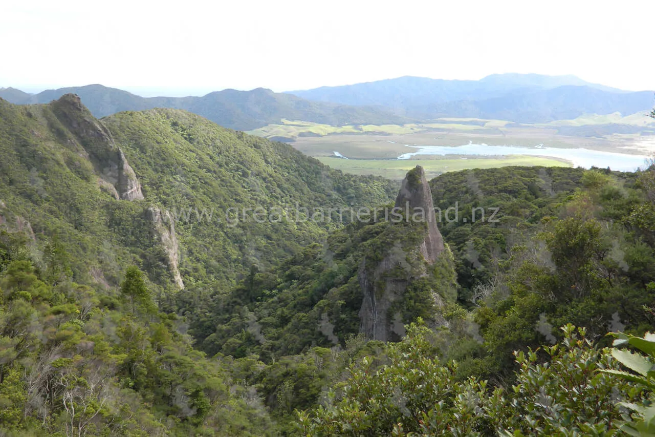 windy canyon great barrier island 8
